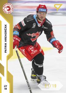 Hrehorčák Patrik 22-23 Tipsport Extraliga Gold #11
