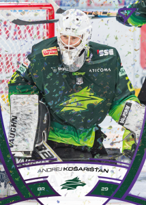 Košarišťan Andrej 24-25 Tipos Extraliga Purple #199