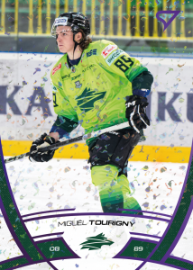 Tourigny Miguël 24-25 Tipos Extraliga Purple #205