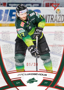 Lukosevicius Jarid 24-25 Tipos Extraliga Red #212