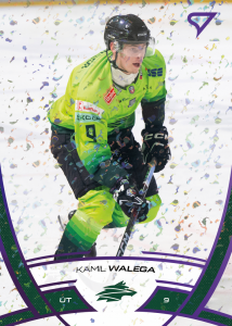 Wałęga Kamil 24-25 Tipos Extraliga Purple #216