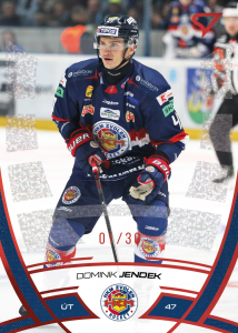 Jendek Dominik 24-25 Tipos Extraliga Red #138