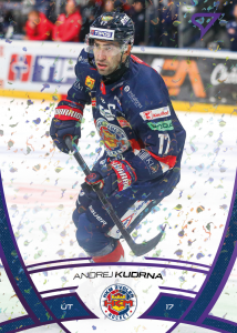 Kudrna Andrej 24-25 Tipos Extraliga Purple #139