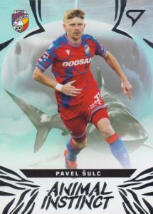 Šulc Pavel 24-25 Chance Liga Animal Instinct #AI-07