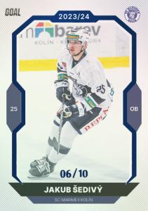 Šedivý Jakub 23-24 GOAL Cards Chance liga Blue #347