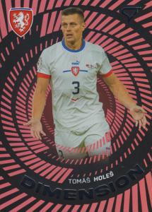 Holeš Tomáš 2024 Hrdí Lvi Dimension Level 1 #DM-05