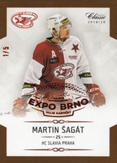 Šagát Martin 18-19 OFS Chance liga Expo Brno #84