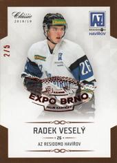 Veselý Radek 18-19 OFS Chance liga Expo Brno #151