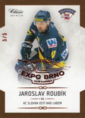 Roubík Jaroslav 18-19 OFS Chance liga Expo Brno #244