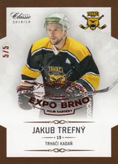 Trefný Jakub 18-19 OFS Chance liga Expo Brno #291