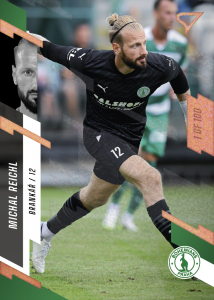 Reichl Michal 23-24 Fortuna Liga Copper #43