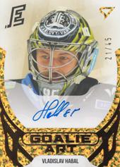 Habal Vladislav 22-23 Tipsport Extraliga Goalie Art Auto #GAS-VH