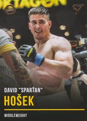 Hošek David 2019 Oktagon MMA Gold #B51