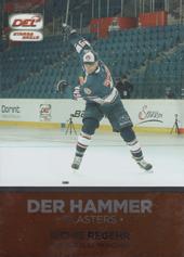 Regehr Richie 15-16 Playercards DEL Blasters #BL08