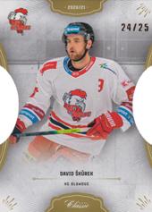 Škůrek David 20-21 OFS Classic Hobby Cut #232