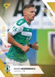 Heidenreich David 22-23 Fortuna Liga Gold #152