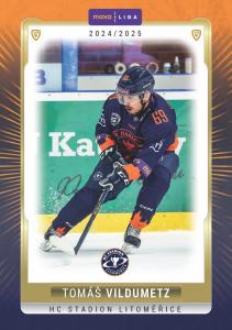 Vildumetz Tomáš 24-25 GOAL Cards Maxa liga #LIT-14
