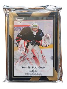 2020-21 Premium Cards Silver Hobby balíček