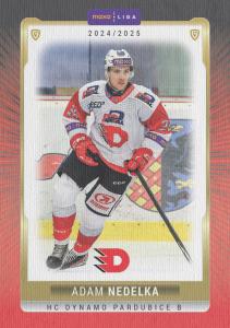 Nedelka Adam 24-25 GOAL Cards Maxa liga Canvas #PCE-09