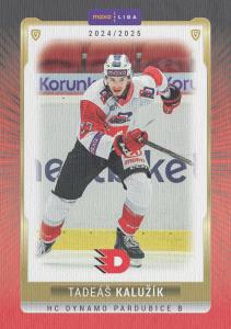 Kalužík Tadeáš 24-25 GOAL Cards Maxa liga Canvas #PCE-16