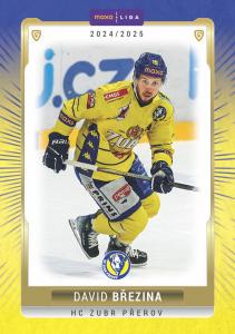 Březina David 24-25 GOAL Cards Maxa liga #PRE-13