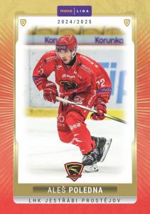 Poledna Aleš 24-25 GOAL Cards Maxa liga #PRO-09