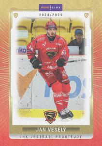 Veselý Jan 24-25 GOAL Cards Maxa liga Sand #PRO-14