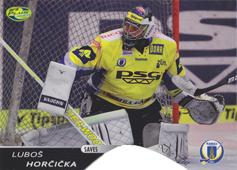 Horčička Luboš 12-13 OFS Plus Saves #3