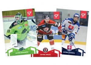 Kompletní set 22-23 SportZoo Slovenská hokejová liga řadové karty #1-162