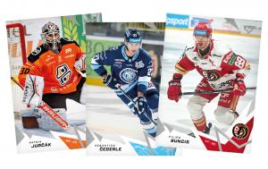 Kompletní set 25-26 SportZoo Tipsport liga řadové karty #1-216