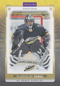 Habal Vladislav 24-25 GOAL Cards Maxa liga Canvas #SOK-01