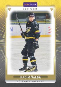 Šalda Radim 24-25 GOAL Cards Maxa liga #SOK-10