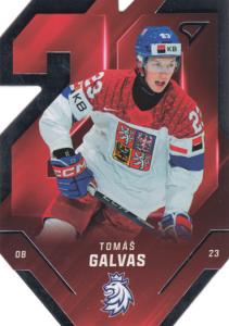 Galvas Tomáš 2025 Hokejové Česko Team 20 #TE-06