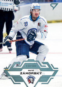 Zámorský Petr 23-24 Tipsport Extraliga Ice Blue #205