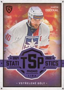 Dočekal Martin 25-26 GOAL Cards Maxa liga Statistics #TOP-7