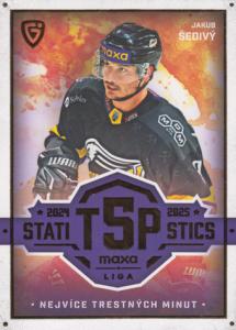 Šedivý Jakub 25-26 GOAL Cards Maxa liga Statistics #TOP-23