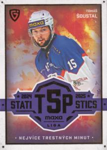 Šoustal Tomáš 25-26 GOAL Cards Maxa liga Statistics #TOP-25