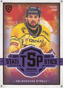 Čáp Zdeněk 25-26 GOAL Cards Maxa liga Statistics #TOP-30