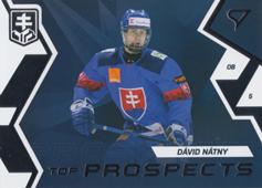 Nátny Dávid 2023 Hokejové Slovensko Top Prospects #TP-3