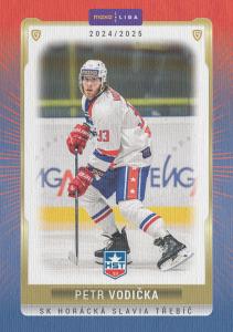 Vodička Petr 24-25 GOAL Cards Maxa liga Canvas #TRE-06