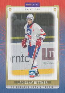 Bittner Ladislav 24-25 GOAL Cards Maxa liga Canvas #TRE-15