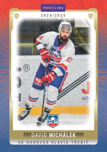 Michálek David 24-25 GOAL Cards Maxa liga #TRE-21