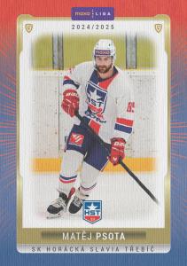 Psota Matěj 24-25 GOAL Cards Maxa liga Canvas #TRE-23