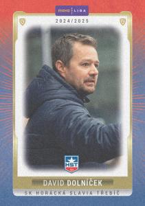 Dolníček David 24-25 GOAL Cards Maxa liga Sand #TRE-25