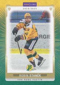 Staněk Robin 24-25 GOAL Cards Maxa liga Sand #VSE-07