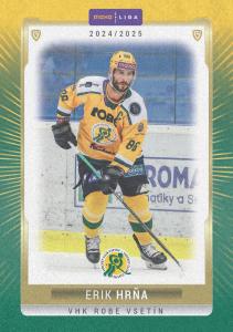 Hrňa Erik 24-25 GOAL Cards Maxa liga Sand #VSE-15