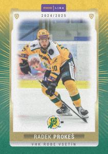 Prokeš Radek 24-25 GOAL Cards Maxa liga Sand #VSE-16