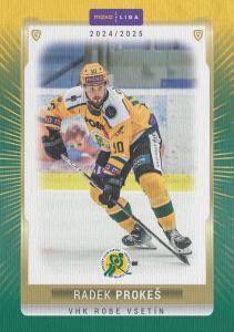 Prokeš Radek 24-25 GOAL Cards Maxa liga Canvas #VSE-16