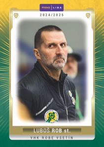 Rob Luboš 24-25 GOAL Cards Maxa liga #VSE-27