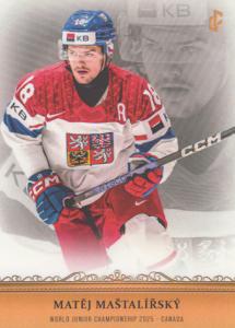 Maštalířský Matěj 24-25 LC Reprezentace World Junior Championship 2025 #WJC13